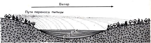 История Земли img_128.jpeg