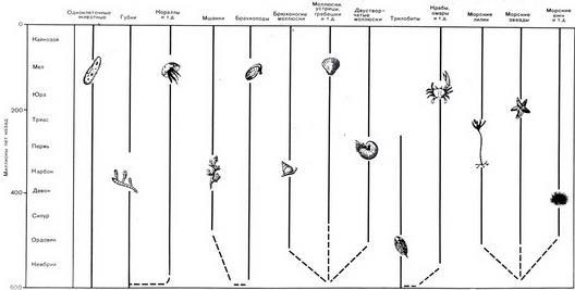 История Земли img_77.jpeg