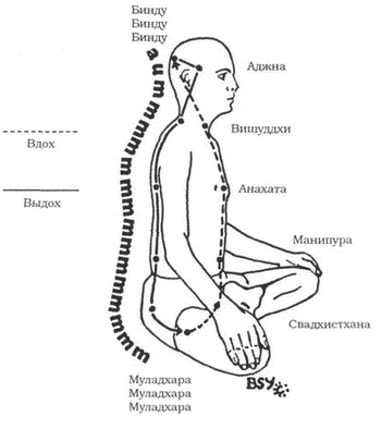 Древние тантрические техники йоги и крийи. Мастер-курс image005.png