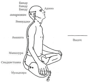 Древние тантрические техники йоги и крийи. Мастер-курс image009.png