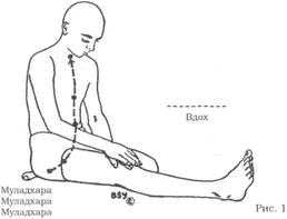 Древние тантрические техники йоги и крийи. Мастер-курс image033.png