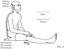 Древние тантрические техники йоги и крийи. Мастер-курс image034.png