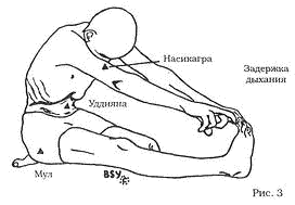 Древние тантрические техники йоги и крийи. Мастер-курс image035.png