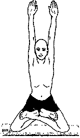 Древние тантрические техники йоги и крийи. Мастер-курс image048.png
