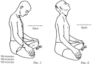 Древние тантрические техники йоги и крийи. Мастер-курс image051.png