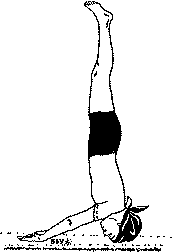 Древние тантрические техники йоги и крийи. Мастер-курс image079.png