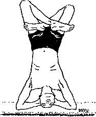 Древние тантрические техники йоги и крийи. Мастер-курс image080.png