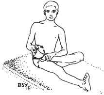 Древние тантрические техники йоги и крийи. Вводный курс image003.png