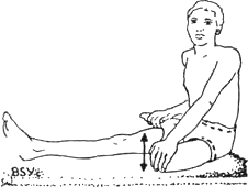 Древние тантрические техники йоги и крийи. Вводный курс image004.png