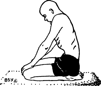 Древние тантрические техники йоги и крийи. Вводный курс image039.png