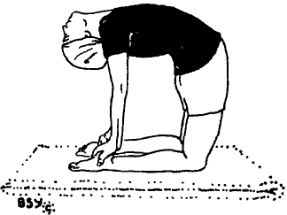 Древние тантрические техники йоги и крийи. Вводный курс image040.png