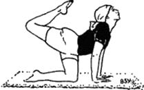 Древние тантрические техники йоги и крийи. Вводный курс image043.png