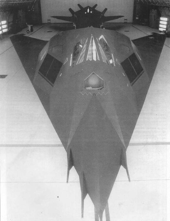 F-117 Nighthawk pic_147.jpg