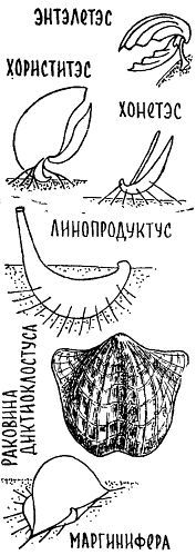 Путешествие по берегам морей, которых никто никогда не видел i_021.jpg