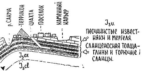 Путешествие по берегам морей, которых никто никогда не видел i_091.jpg