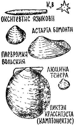 Путешествие по берегам морей, которых никто никогда не видел i_099.jpg