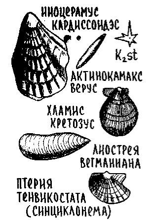 Путешествие по берегам морей, которых никто никогда не видел i_116.jpg