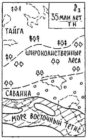 Путешествие по берегам морей, которых никто никогда не видел i_136.jpg