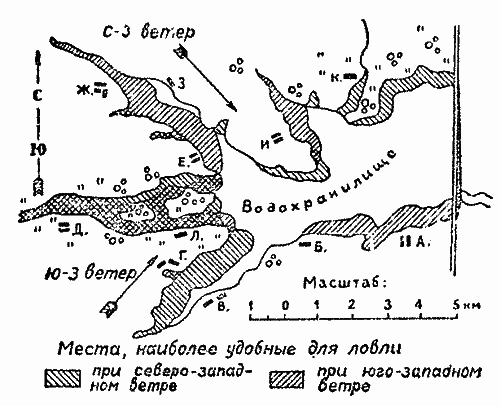 Практика спортивного рыболовства i_020.png