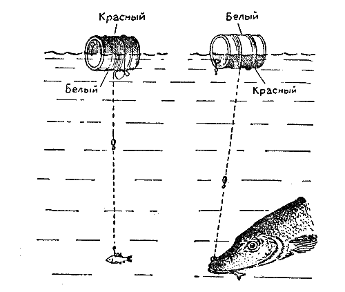 Практика спортивного рыболовства i_048.png