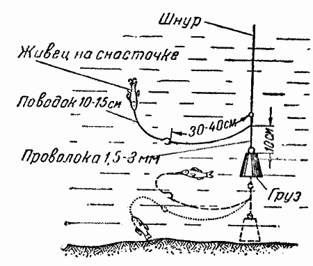 Практика спортивного рыболовства i_068.png