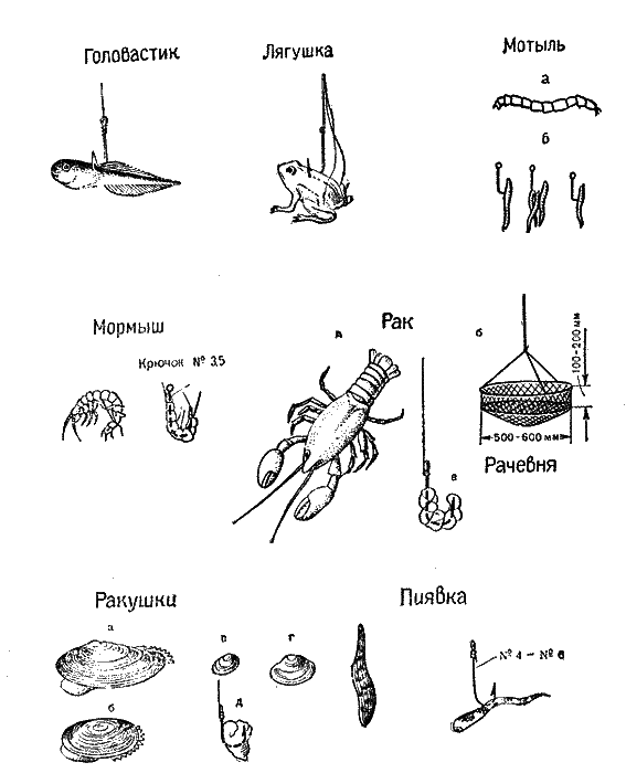 Практика спортивного рыболовства i_072.png