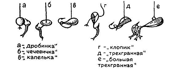 Практика спортивного рыболовства i_078.png