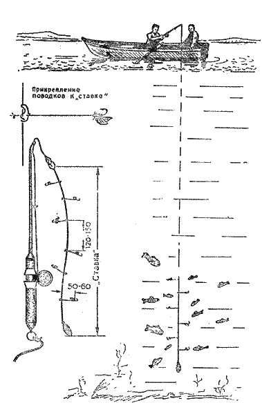 Практика спортивного рыболовства i_087.png