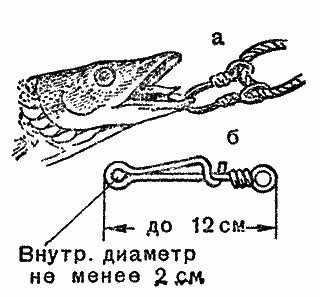 Практика спортивного рыболовства i_091.png