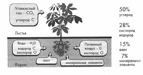 Сад без химии. Агротехника природного земледелия в Черноземье i_005.jpg