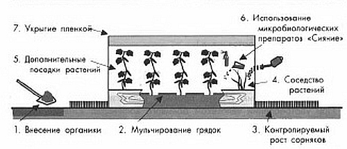 Сад без химии. Агротехника природного земледелия в Черноземье i_012.jpg