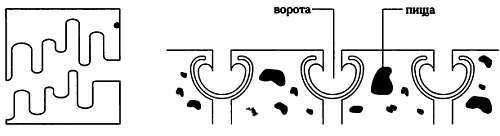 Четвертое измерение. Является ли наш мир тенью другой Вселенной? _45.jpg