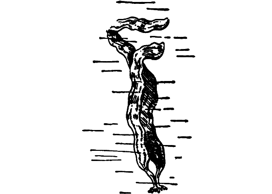 Путешественники-невидимки i_032.png