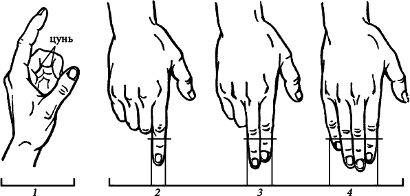 Рука ед. Индивидуальный цунь равен. Цунь в акупунктуре. Индивидуальный цунь равен в массаже. Как измерить цунь.