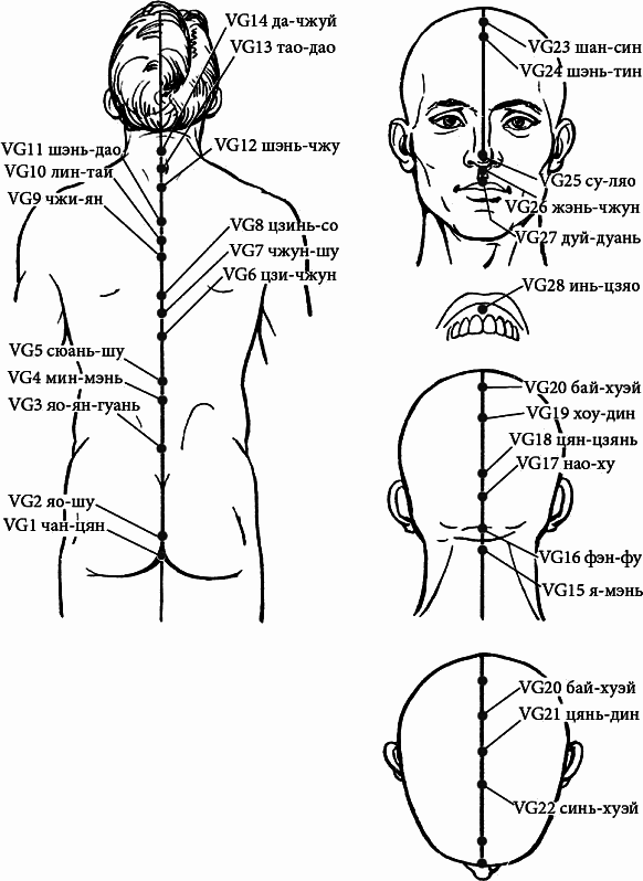 Массаж. Полное руководство i_129.png