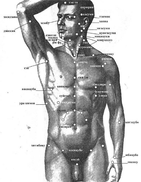 Фото точек человека. Точки человеческого тела. Точки в организме человека. Жизненно важные точки тела. Анатомические точки на теле человека.