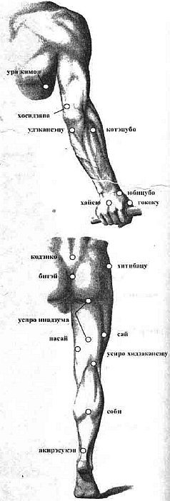 Жизненные точки. Жизненнноважные точки на теле человека. Жизненно важные точки человеческого тела. Жизненно важные точки на теле человека. Жизневажные точки у человека.