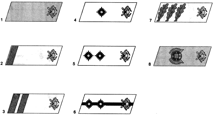 Литовские полицейские батальоны. 1941-1945 гг. i_084.png