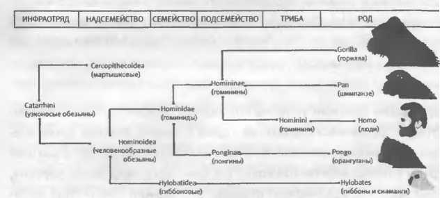 Хозяева Земли _15.jpg