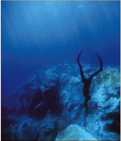 Учебник подводной охоты на задержке дыхания i_014.jpg