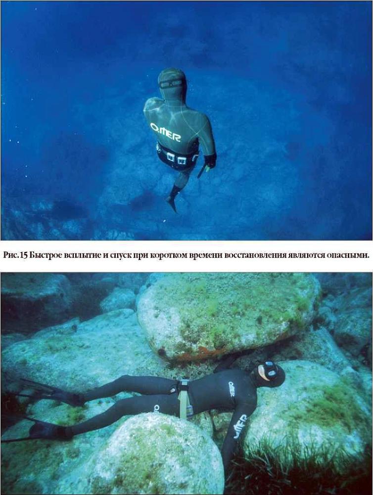 Учебник подводной охоты на задержке дыхания i_015.jpg