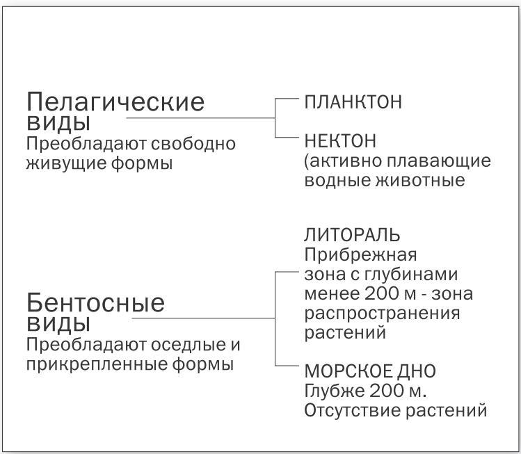 Учебник подводной охоты на задержке дыхания i_067.jpg