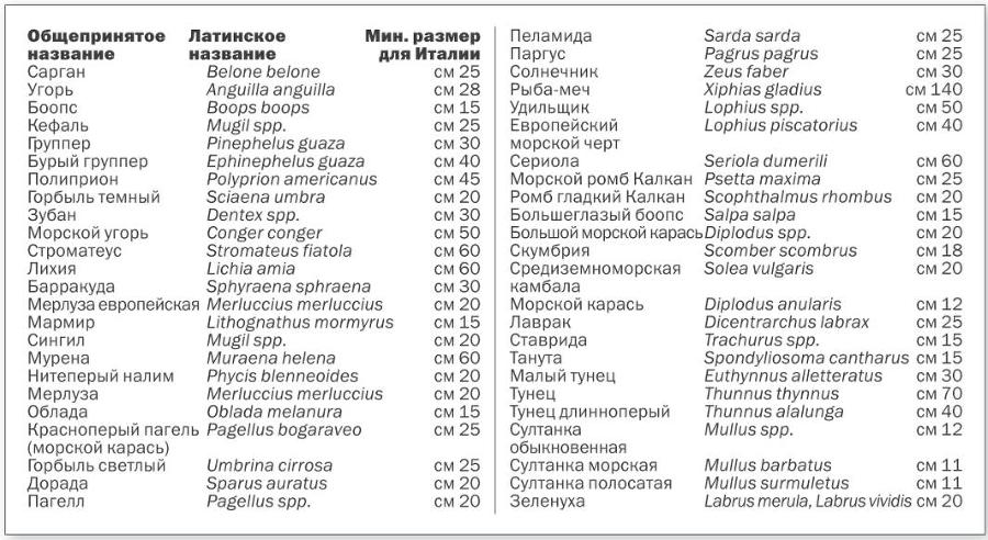 Учебник подводной охоты на задержке дыхания i_099.jpg