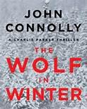 The Wolf in Winter _2.jpg