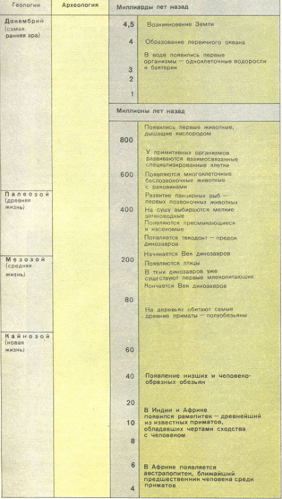 Недостающее звено img037f1.jpg