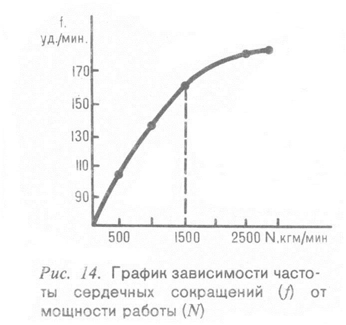 Человек и бег _12.jpg