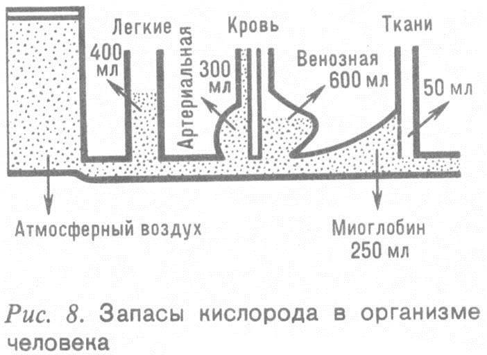 Человек и бег _7.jpg