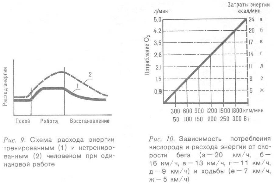 Человек и бег _8.jpg