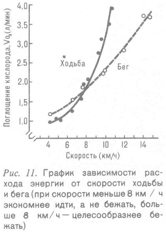 Человек и бег _9.jpg