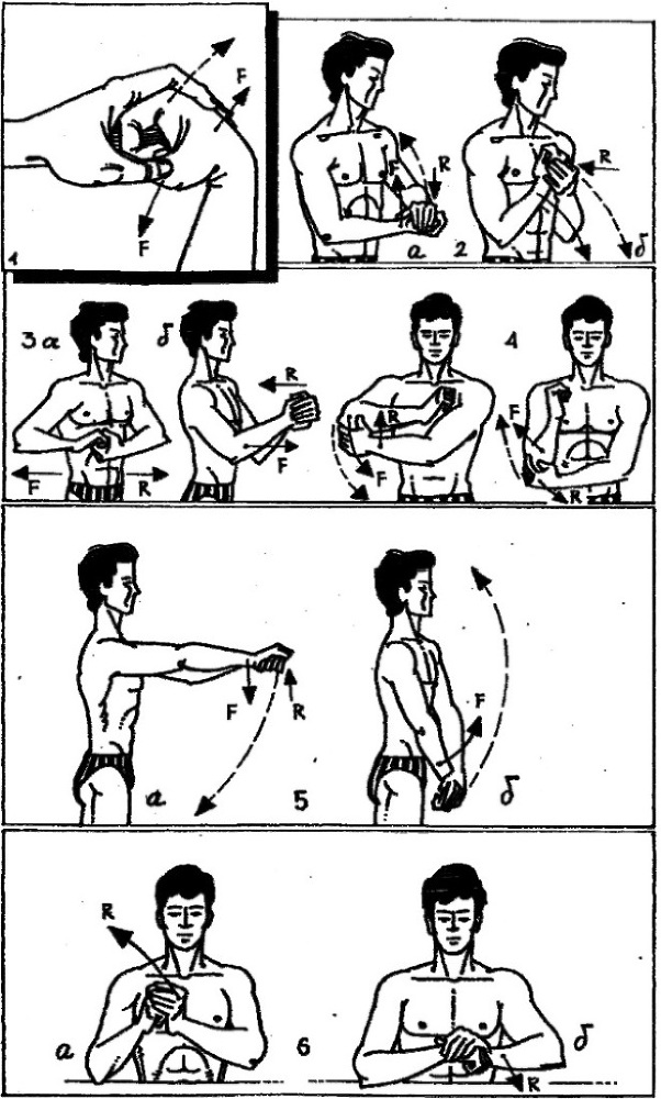 Атлетическая гимнастика без снарядов i_015.jpg